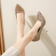 Women's Fashion Pointed Toe High Heels