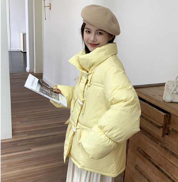 Korean Style Stand-up Collar Downcotton-padded Jacket Women's Short