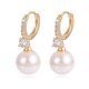 Fashion Light Luxury Earrings Jewelry Earrings Simple Jewelry